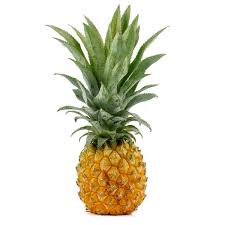 Queen Victoria pineapple fruit seeds