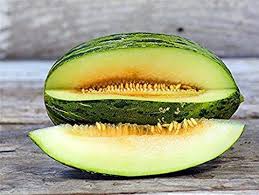 Piel de Sapo muskmelon seeds for backyard planting
