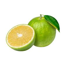 Sweet lime Citrus limetta seeds for urban citrus grove