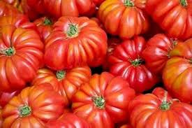 Red Costoluto Tomato Seeds for Planting - heirloom & Non GMO Seeds