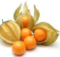 Physalis fruit seeds