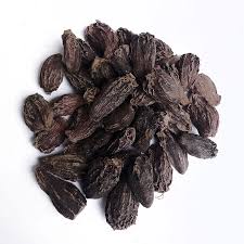 Black Cardamom Plant Seeds for Indoor or Outdoor Herb Gardens – Fresh Herb for Your Garden
