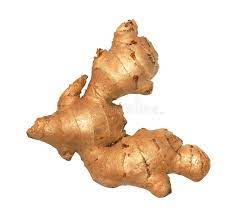 Perennial Ginger Seeds for Planting Mixed - 100 Pcs pcs