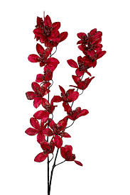 Heirloom Red Weeping Forsythia Flower Seeds for Planting, Non-GMO