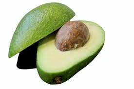 Persea americana avocado butter fruit seeds