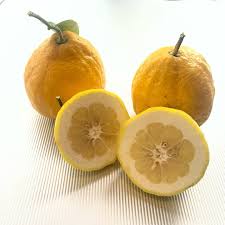 Ponderosa lemon fruit seeds