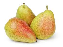 Forelle pear fruit seeds