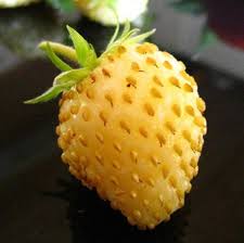 Yellow strawberry fruit seeds for unique gardens