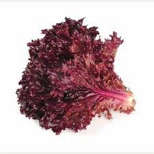 Red Lettuce Salad Bowl Seeds for Planting-Heirloom & Non-GMO Seeds for planting