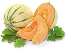 Charentais muskmelon fruit seeds