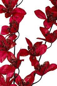 Heirloom Red Weeping Forsythia Flower Seeds for Planting, Non-GMO