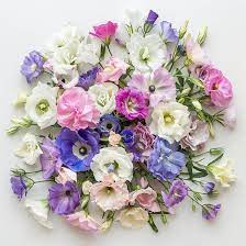 Mixed Lisianthus Flower Seeds for Planting - Heirloom, NON-GMO Seeds - Easy to Grow, Garden Bloom Mix