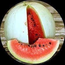 Rare Watermelon 