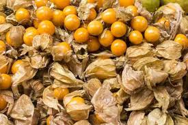 Ground Cherries Vegetable Seeds for Planting - 100 Pcs pcs