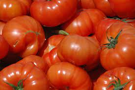 Striped Cavern Tomato Vegetable Seeds for Planting - 100 Pcs pcs