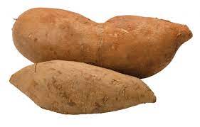 Bogachiel Yacon Smallanthus sonchifolius seeds for garden planting