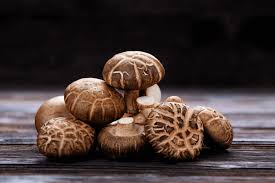Shiitake Mushrooms Seeds for Planting,100 Pcs pcs