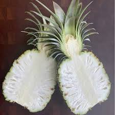 White flesh pineapple fruit seeds