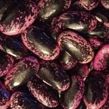 Scarlet Bean Seeds for Planting - 100 Pcs pcs