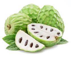 Cherimoya Annona cherimola fruit seeds