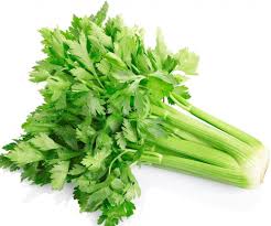 Utah Celery Seeds for Planting - 100 Pcs pcs