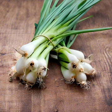 Green Spring Onions (Scallions) Vegetable Seeds for Planting - 100 Pcs pcs