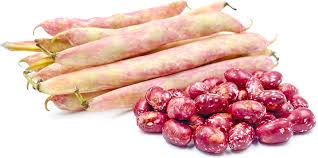 Red Cargamanto Bean Phaseolus spp. seeds for garden planting