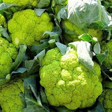 Green Cauliflower Seeds for Planting - 100 Pcs pcs