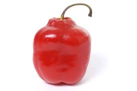 Red Rocoto Aji Locoto Capsicum Pubescens Hot Chili Pepper Seeds for Planting - heirloom & Non-GMO Garden Seeds