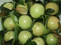 White Chrysophyllum cainito fruit seeds