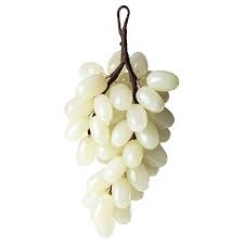 White grape fruit seeds for planting
