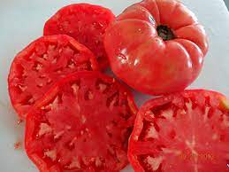 Box Car Willie Heirloom Tomato Seeds for Planting - 100 Pcs pcs