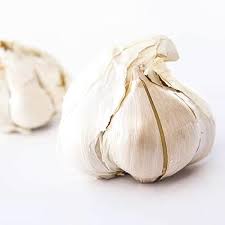 Elephant Garlic Seeds for Planting, White, 100 Pcs pcs