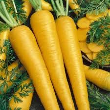 Yellow Carrot Seeds for Planting - 100 Pcs pcs