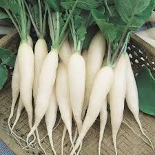 White Radish Vegetable Seeds for Planting - 100 Pcs pcs