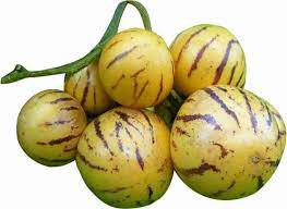 Asian Apple Melon Seeds for Planting - Exotic Sweet and Tangy Fruit, Non-GMO Seeds
