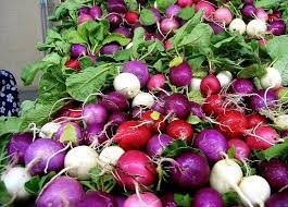 Rainbow Radish Seeds for Planting - 100 Pcs pcs
