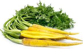 Yellow Carrot Seeds for Planting - 100 Pcs pcs