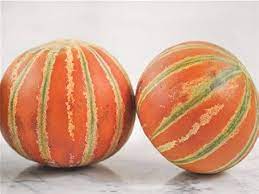 Orange Musk Melon Fruit Seeds for Planting - Heirloom & Non-GMO Seeds