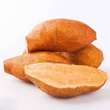 Yellow Sweet Potato Ipomoea batatas for planting in home garden