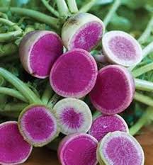 Watermelon Radish Seeds for Planting - Unique Vegetable 100 Pcs pcs