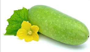 Wax Gourd Benincasa hispida seeds for garden planting