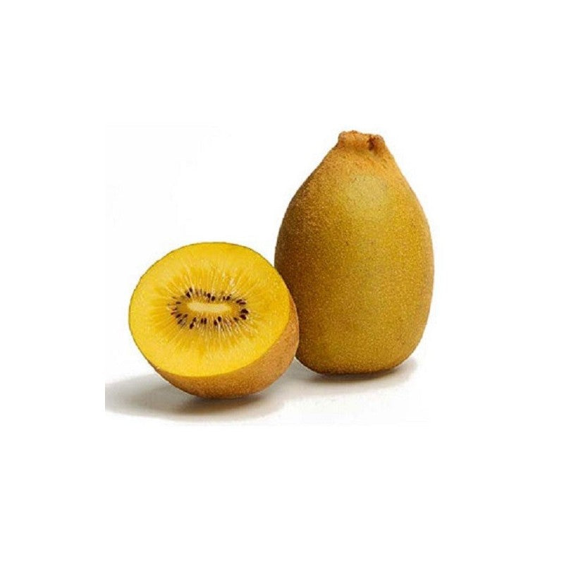 Golden yellow kiwi fruit seeds