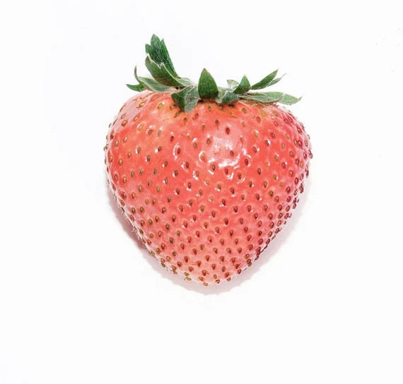 RosyPink strawberry fruit seeds