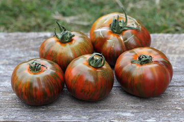 Chocolate Stripes Tomato Seeds for Planting - 100 Pcs pcs
