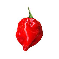 Red Hot Habanero Pepper Vegetable Seeds for Planting - 100 Pcs pcs