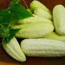 White Wonder Armenian Cucumber Vegetable Seeds for Planting - Heirloom & Non-GMO Garden Seeds