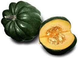 Table King Acorn Squash Cucurbita pepo seeds for planting in garden beds