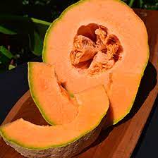 Ambrosia Cantaloupe Cucumis melo var. reticulatus seeds for planting in home garden