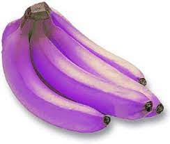 Banana Fruit Seeds for Planting - Purple Variety for Unique Fruit Harvests 100 Pcs pcs